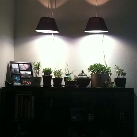 We did not find results for: Attractive grow lights for indoor plants. Phillips plant ...