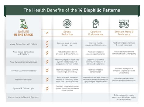 Learn About The 14 Core Principles Of Biophilic Design