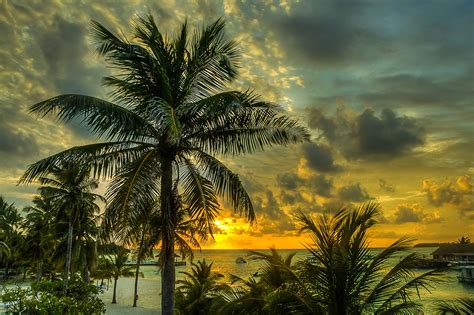 Картинки Мальдивы Природа Небо Пальмы Тропики рассвет и закат