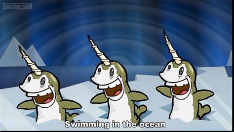 Image 3855 Narwhals Narwhals Know Your Meme