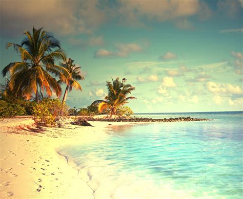 Tropical Paradise Beach Palms Sea Ocean Sunshine Summer Vacation Wallpapers Hd Desktop