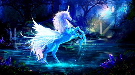 Wallpaper Unicorn Water Forest Night Magic 2560x1420