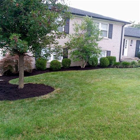 The 10 Best Landscaping Companies In Louisville Ky 2024