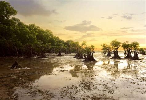 33 Tempat Wisata di Sumba yang bikin lupa Bali dan Lombok