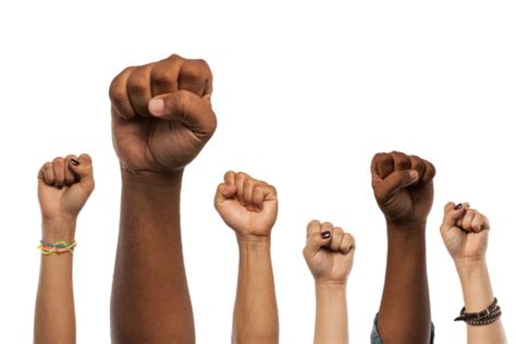 Fists And Arms Raised In Unison Against White Stock Photo Download