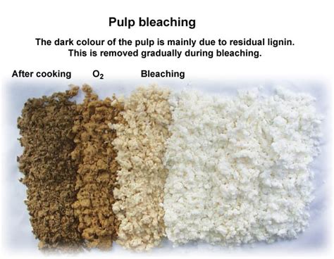 Sulfite Process Becomes The Dominant Method For Making Wood Pulp Paper