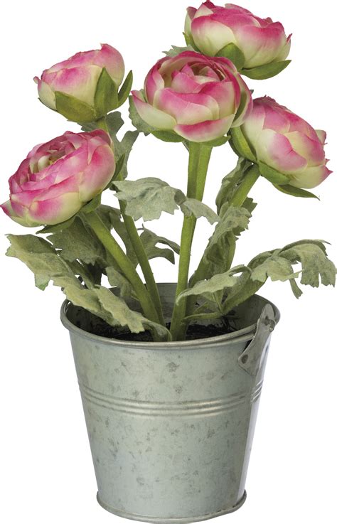 Arcadia garden products 17.5 in. Small Metal Planter Bucket With Artificial Pink Ranunculus Botanicals from Primitives by Kathy