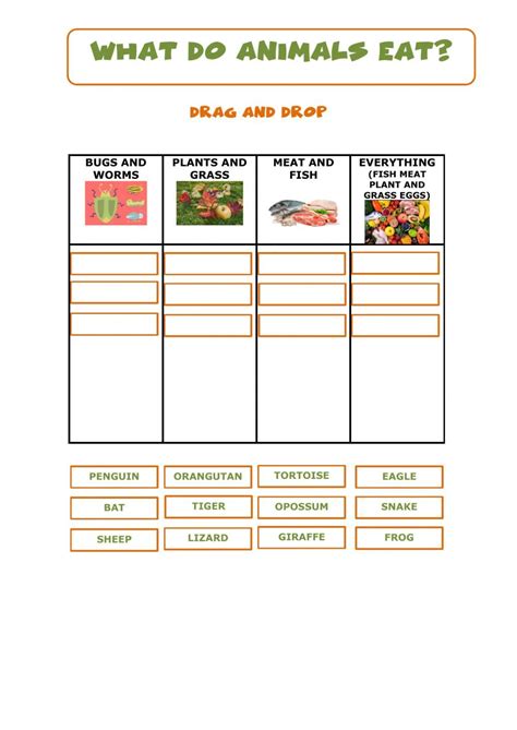 Animal Riddles Animal Eating 2nd Grade Worksheets Fish And Meat