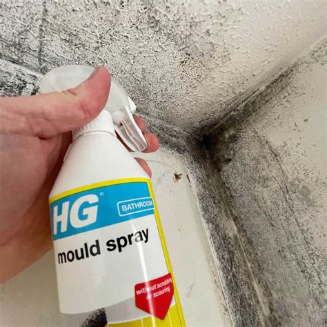 How To Get Rid Of Mould On Walls Uk Guide By Diy Works