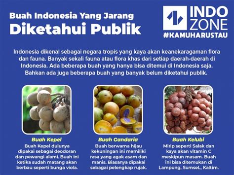 Buah Indonesia Yang Jarang Diketahui Publik Indozoneid