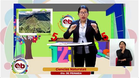 Educa Bolivia Sexto De Primaria Pisos Ecológicos Youtube