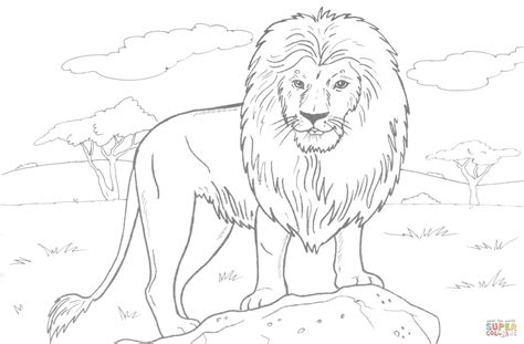 Lion Coloring Pages Printable Medelinenlemb