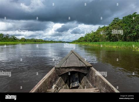 Amazon Rainforest Riverbank Sailing Down River Yanayacu At The Amazon