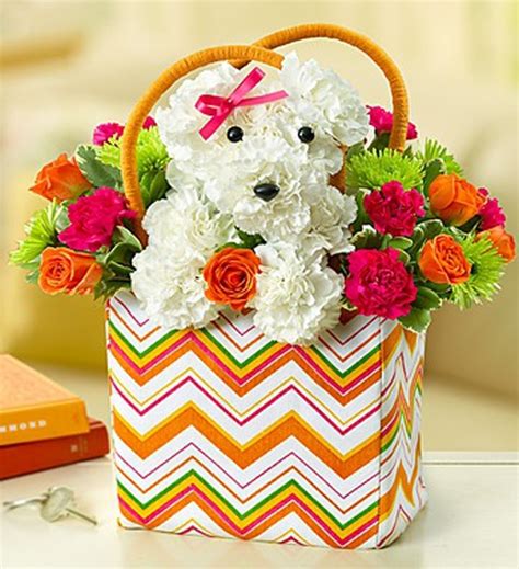 Accentuate the natural beauty of greenery with dog shaped pot from alibaba.com. 7 Delightful Flower Arrangements For The 7 Types Of Dog ...