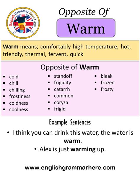 Opposite Of Warm Antonyms Of Warm Meaning And Example Sentences