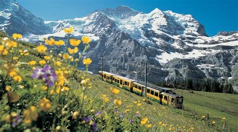 Jungfraujoch Tours Book Now Expedia