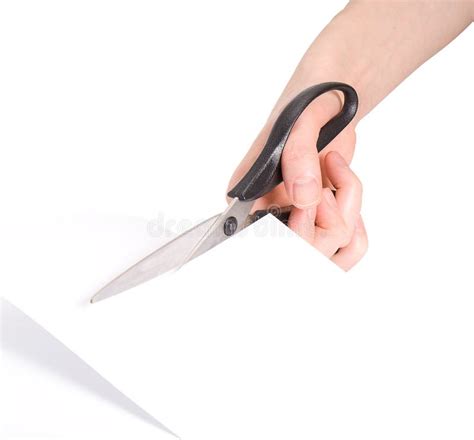 Paper Cutting Stock Photo Image Of Human Work Dividing 13114894