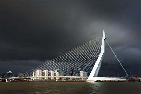 Erasmus Bridge Rotterdam Netherlands