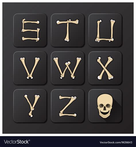 Bones Alphabets Set 3 Royalty Free Vector Image