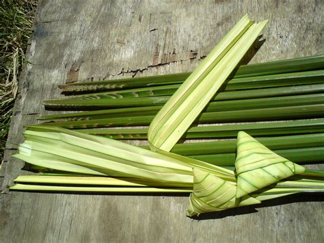 Pada malam hari raya aidifitri, seluruh ahli keluarga sibuk menyediakan dan memasak makanan. Pemborong Pucuk Daun Palas Ketupat: PEMBORONG DAN PEMBEKAL ...