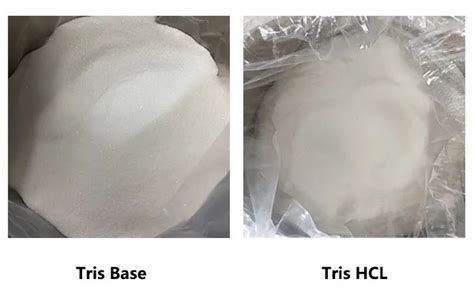 Tris Base Vs Tris Hcl Key Differences For Scientific Research