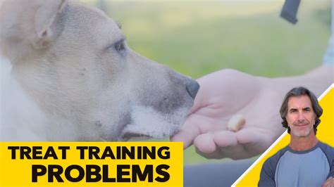 Certain dog food brands encourage the notion that. Treat Training Dogs - Positive Only Training Issues ...