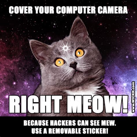 Top 10 computer safety tips. 6 tips to boost your online privacy (as told by cat gifs ...