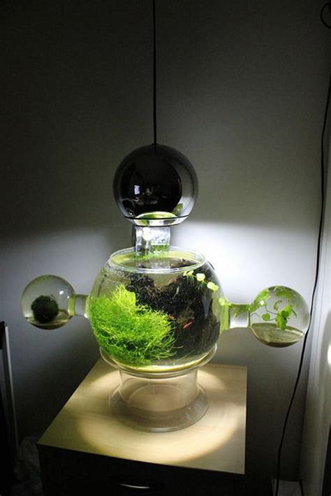 20 Most Creative Aquariums With Tiny Ideas Home Design And Interior