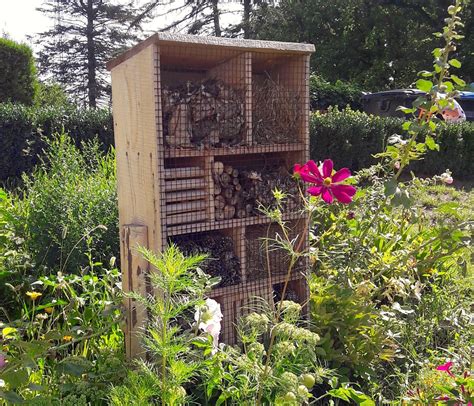 Natur im garten sendung vom 02.05.2021. „Natur im Garten" in der Kita am Tiefwarensee › Wir sind ...