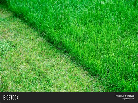 Partially Cut Grass Image And Photo Free Trial Bigstock