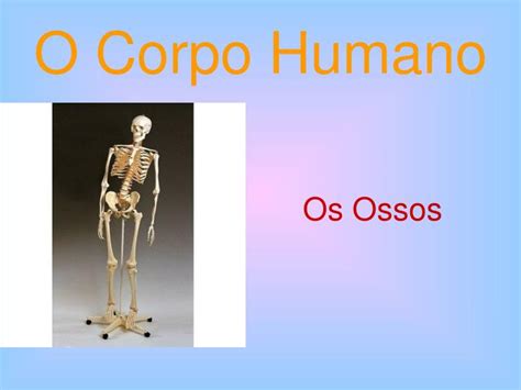 Ppt O Corpo Humano Powerpoint Presentation Free Download Id2266520
