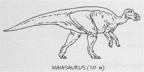 Maiasaura Jurassic Park Wiki Fandom Powered By Wikia