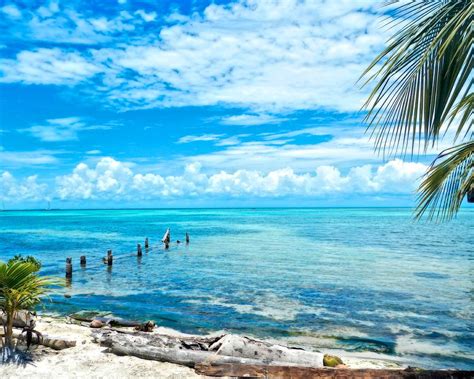 Secluded Beach On Caye Caulker Belize Photograph By Mary Stuart