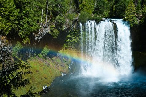 Breathtaking Hidden Waterfalls In Oregon