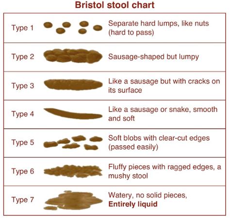 The Inside Scoop What Your Bowel Movements Say About Your Health