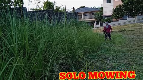Mowing Extremely Overgrown Grass Solo Mowing Brush Cutting Youtube