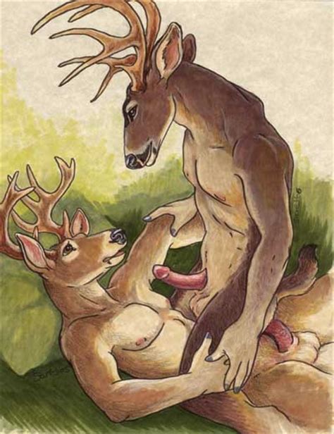 Rule 34 Anal Anal Sex Balls Cervine Deer Erection Furry Gay Male