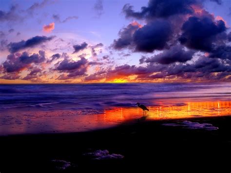 🔥 Download Relaxing Beach 4k Sunset Wallpaper By Jefferyw57 Beach