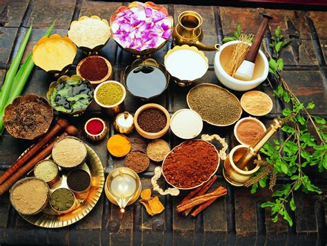 the art of living the best ayurvedic centres in india memorable india blog