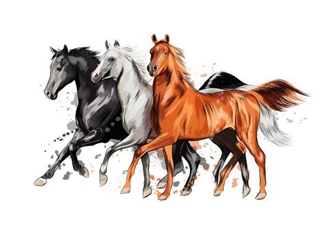 Three Horses Run Gallop From A Splash Of Watercolor Hand Drawn Sketch