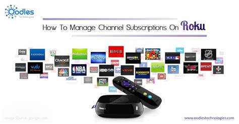 How Do I Cancel My Showtime Subscription On Roku - How To Cancel Peacock Subscription On Roku / Cancel Subscription To The