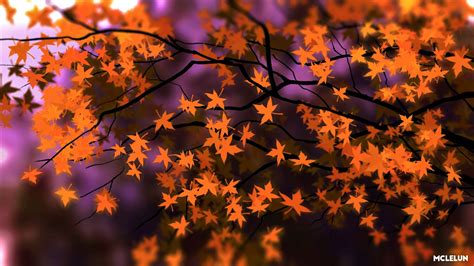 Autumn Maple Leaves Hd Wallpaper Background Image 1920x1080 Id