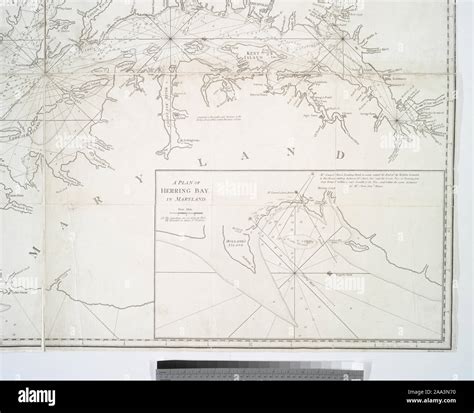 Includes Sailing Directions Observations On The North East Current On The Coast Of Virginia