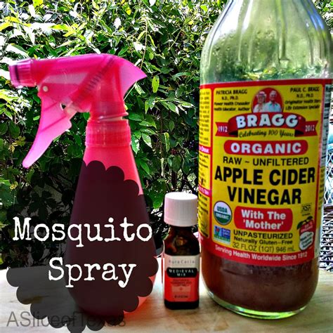 Aliya Diys Diy Mosquito Repellent Spray For Yards