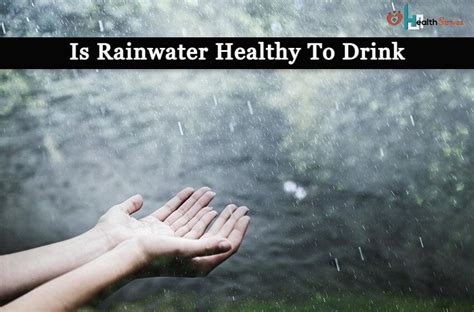 Is Rainwater Safe To Drink Check What Makes It Drinkable