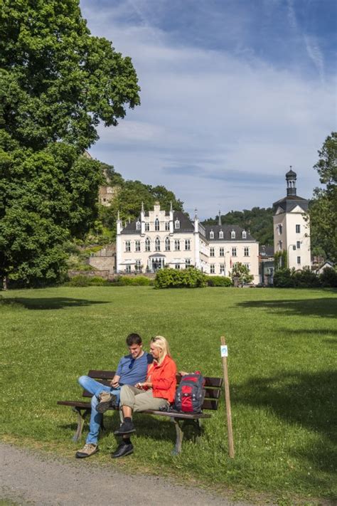 Anders als vielfach vermutet tritt der borkenkäfer nicht nur im wald auf, er kann auch ihre fichte im garten befallen. Traumpfädchen Sayner Aussichten