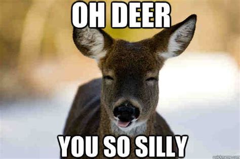 The 20 Best Deer Hunting Memes So Far Deer