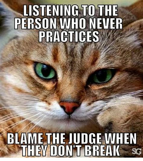 Practice Makes Perfect Funny Cat Memes Animals Silly Cats