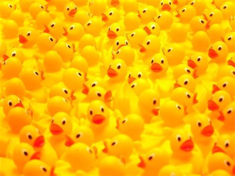 Rubber Ducky Wallpapers Wallpaper Cave