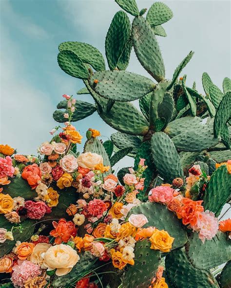 Arielle Vey Ariellevey • Instagram Photos And Videos Flower